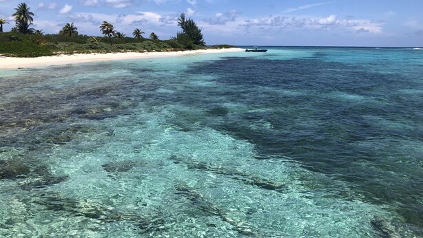Una playa con aguas turquesas cristalinas, un bote en el agua y una orilla arenosa con palmeras.