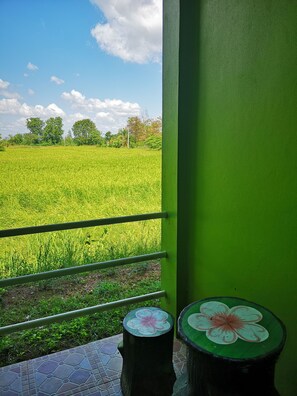 Vista desde la habitación