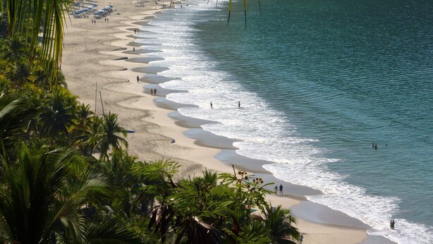 A beach with palm trees, a sandy shore, and a calm sea.