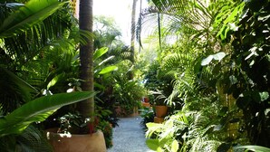 A narrow pathway surrounded by lush tropical plants and trees.
