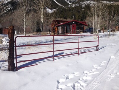 Off the Beaten Path Historic Cabin Surrounded By Raw Beauty STRL #2025-073