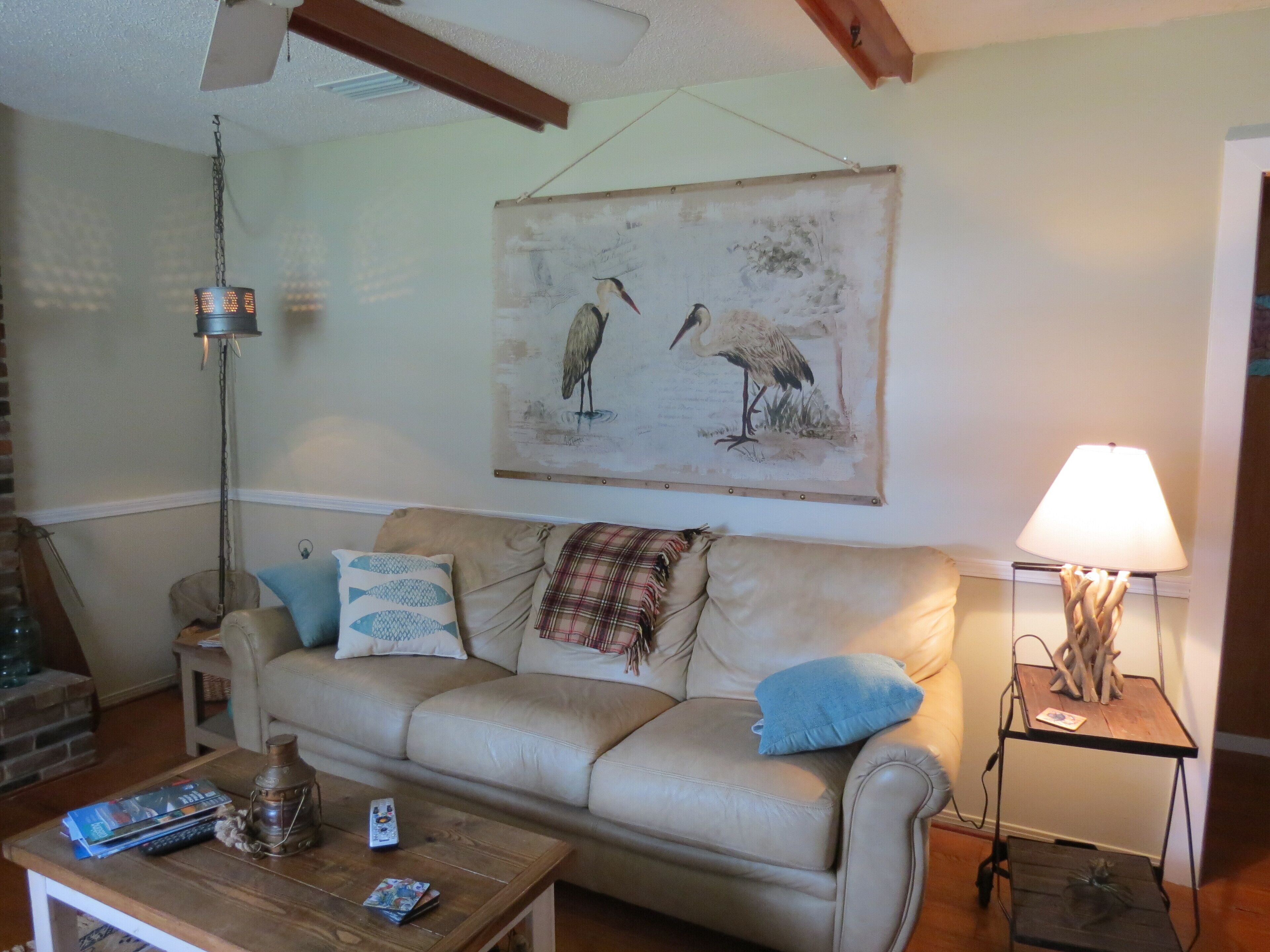 TV, fireplace, books