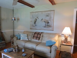 TV, fireplace, books