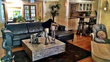 Smart TV, fireplace, DVD player, books