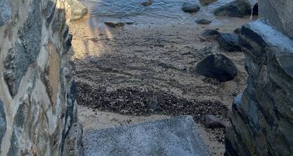 Rentouttava Vintage Beach House - Tilava piha ja näkymä Long Island Soundiin