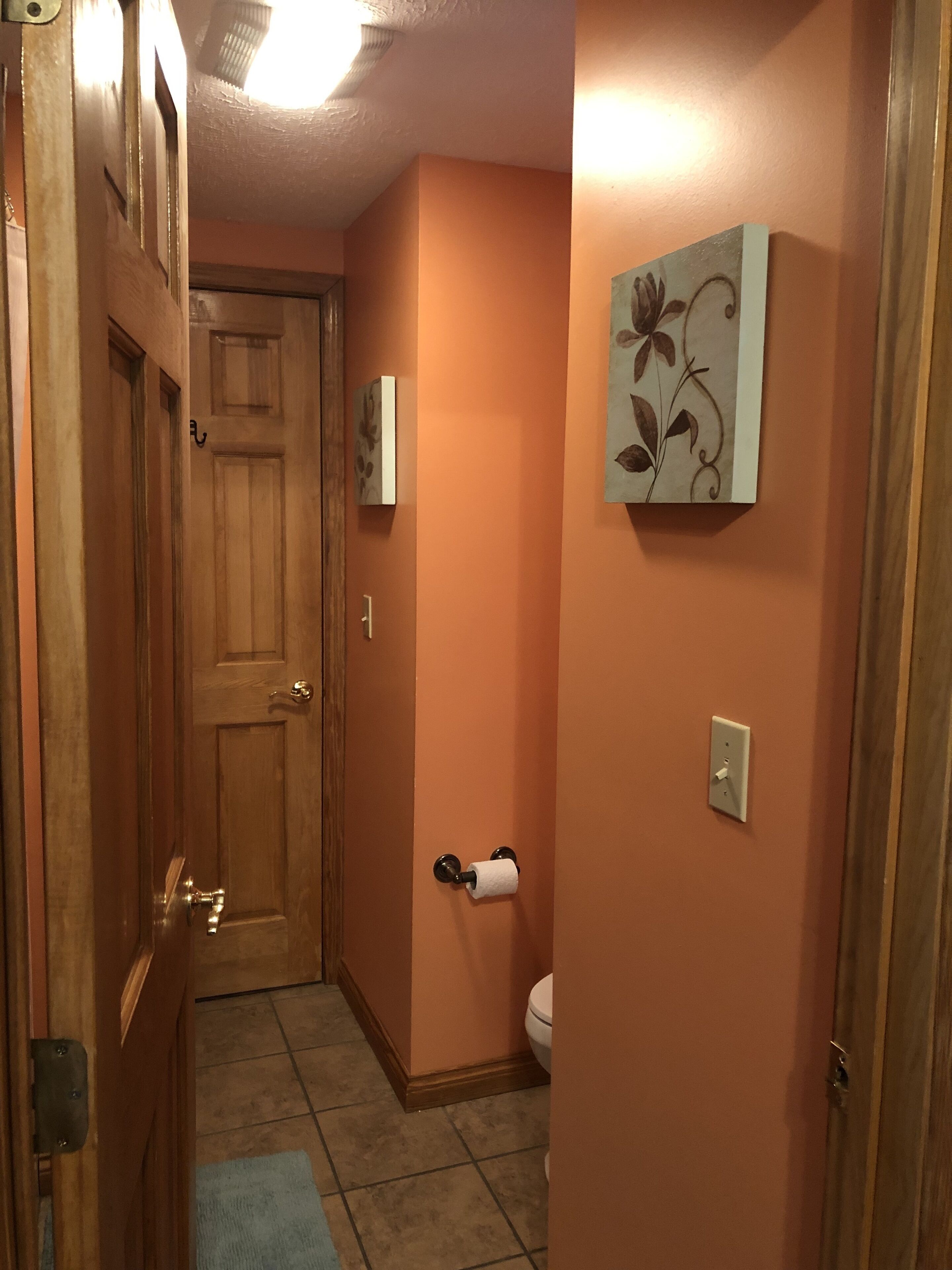 A narrow hallway with a wooden door, a toilet with a toilet paper holder, and a wall-mounted light fixture.