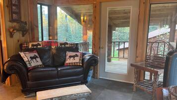 TV, fireplace, DVD player, books