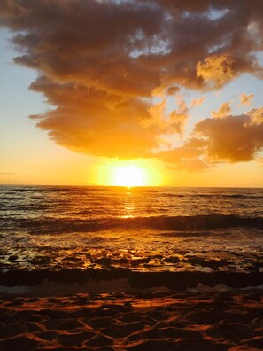 Tumbonas y toallas de playa