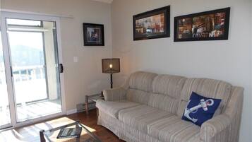 Smart TV, DVD player, books, video library