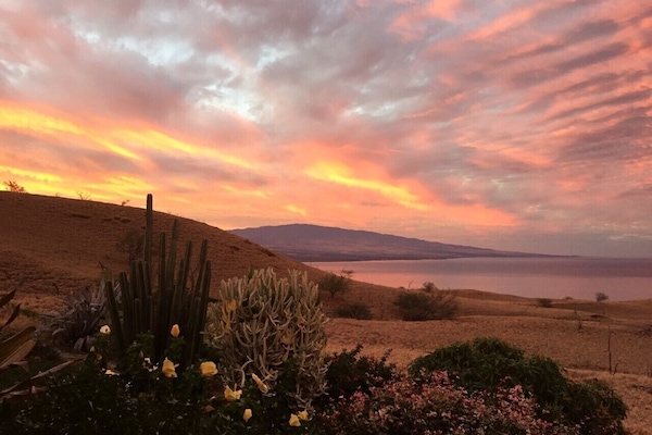 Another morning treat and gift to start the day with!