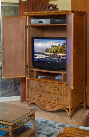 Smart TV, DVD player, books