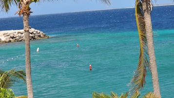 Aurinkotuoleja, rantapyyhkeitä