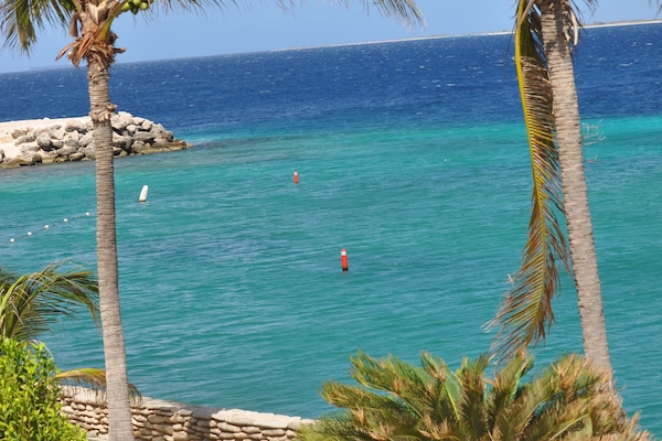 Feel the warm sunshine. Another great day in Bonaire!