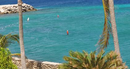 REEFS EDGE BONAIRE - CONDO OCÉAN AVANT AVEC PISCINE OCÉAN AVANT ET VUE IMPRENABLE 