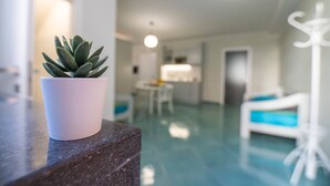 Un interior moderno con un suculento en maceta sobre una encimera, una zona de comedor y una silla blanca.