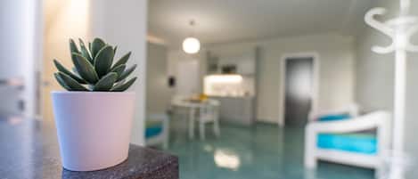 Un interior moderno con un suculento en maceta sobre una encimera, una zona de comedor y una silla blanca.