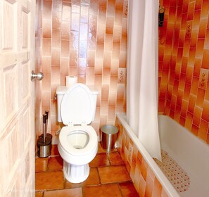 Ensemble douche/baignoire, sèche-cheveux, serviettes fournies, savon