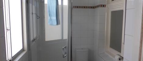A bathroom with a glass shower enclosure, a white toilet, and a sink with a faucet.