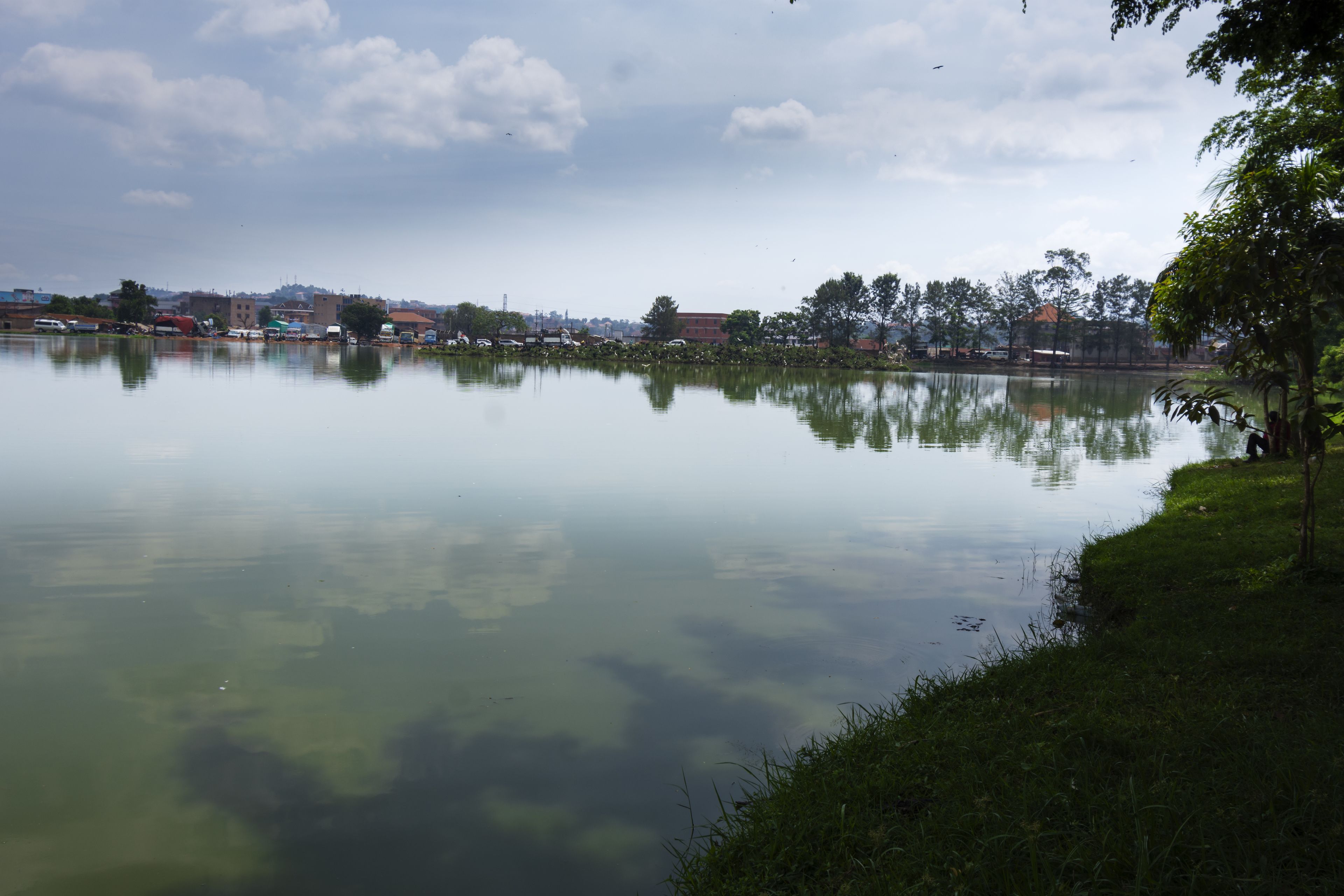 高級雙人房 | 露台/庭院