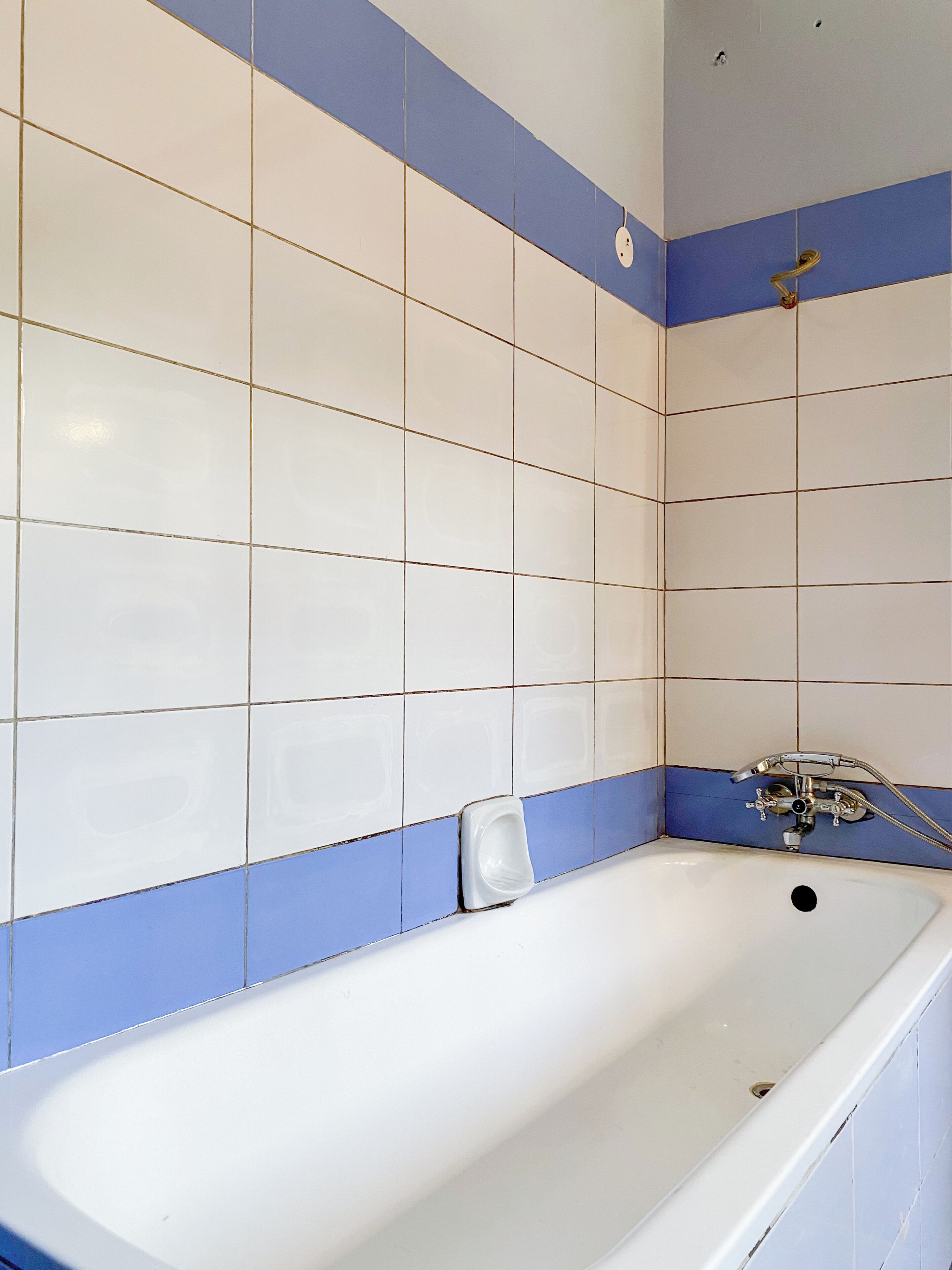 A bathroom with a bathtub, a shower, and a toilet.