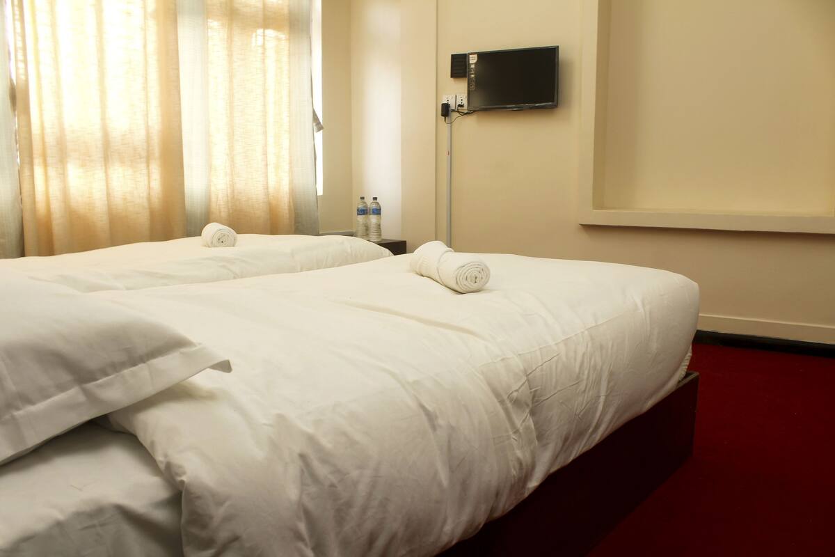 Habitación de hotel con dos camas, un televisor de pantalla plana montado en la pared y una alfombra roja.