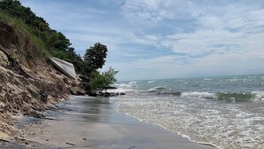 Una playa con arena, un muelle de madera y un árbol.