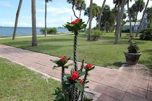 Terrein van de accommodatie