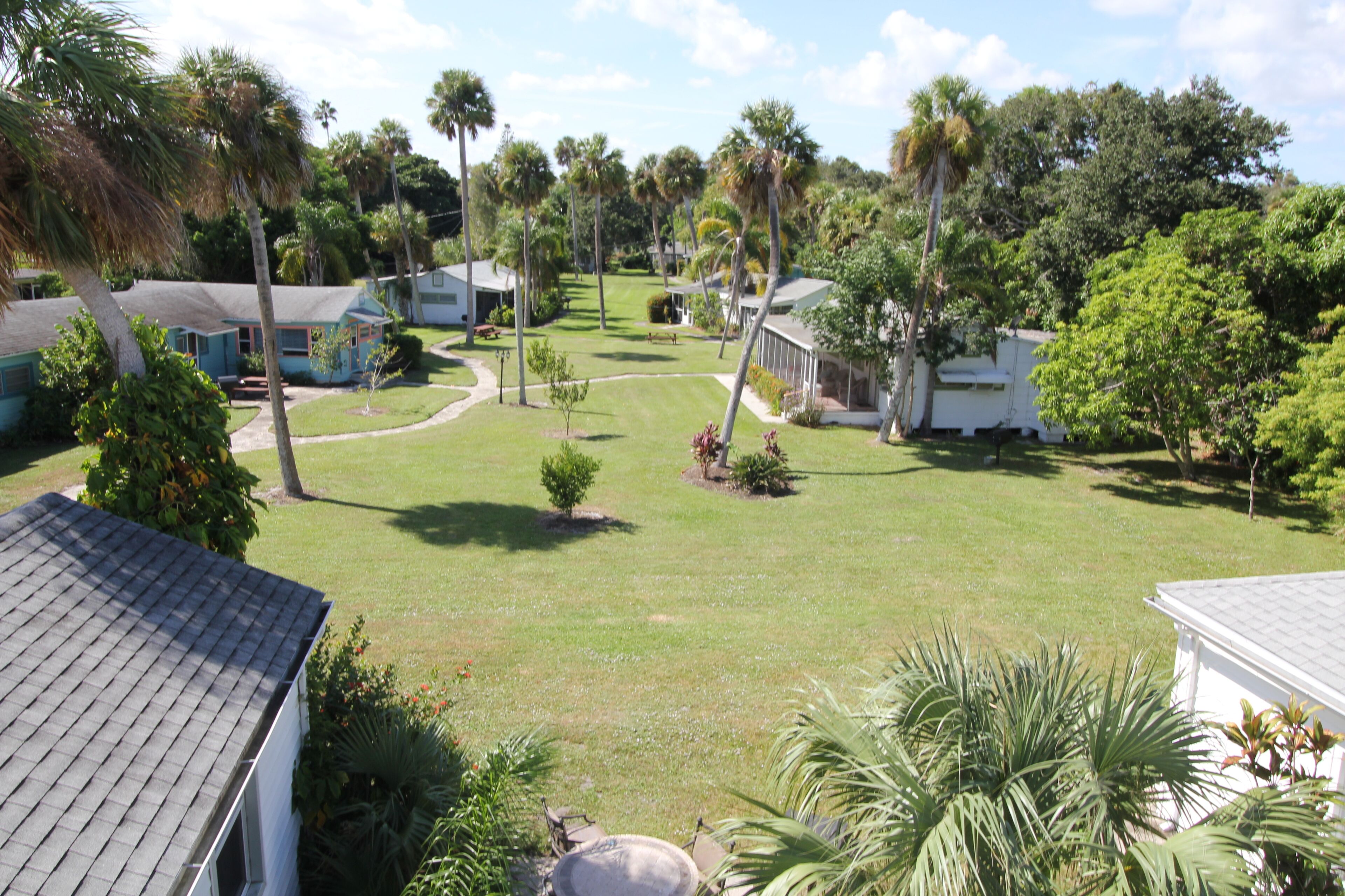 A residential area with multiple houses, a well-maintained lawn, and several palm trees.