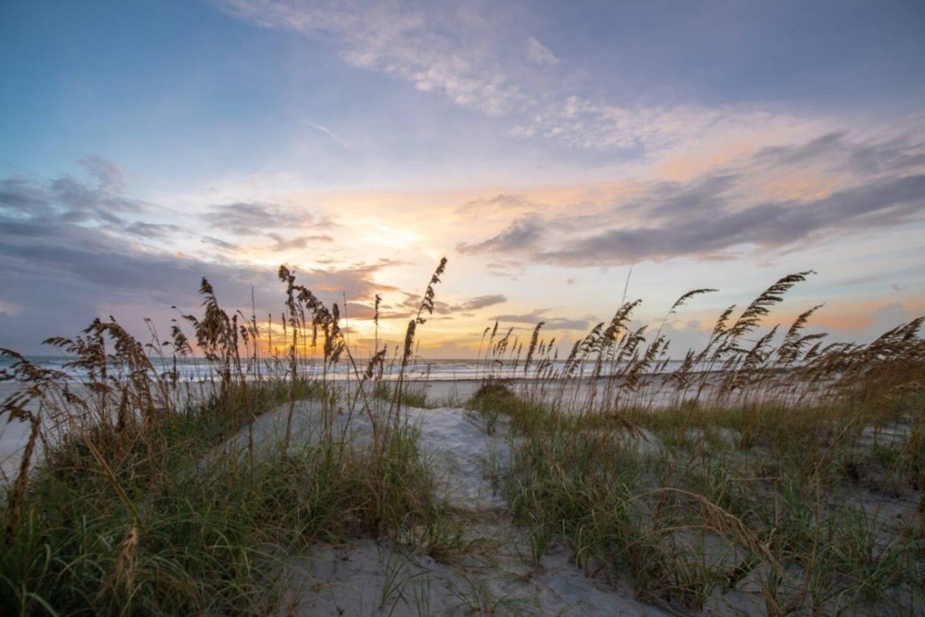 A beach scene with sand dunes and grasses.