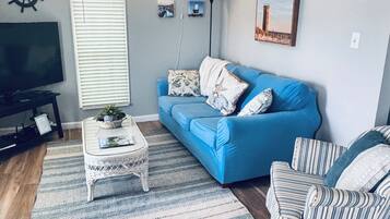 Televisión, reproductor de DVD, libros y estéreo