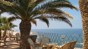 Une terrasse dotée de meubles en osier et d’un palmier, d’où l’on a vue sur la mer.