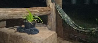 Ratanak Teprithea Home Stay