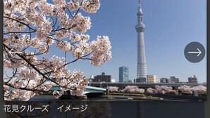 En vy över Tokyotornet med körsbärsblommor i förgrunden.