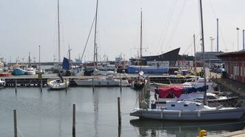 Paseos en bote