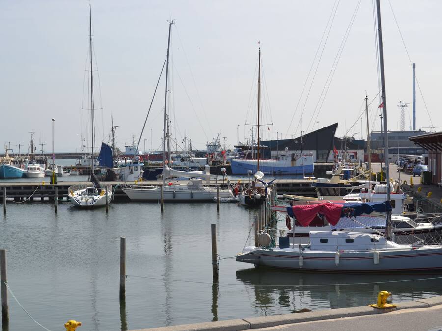 A marina with various boats docked, a yellow fire hydrant, and a building with a sloped roof.