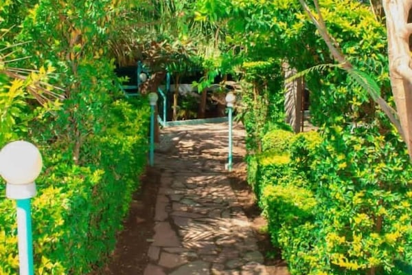 Garden view