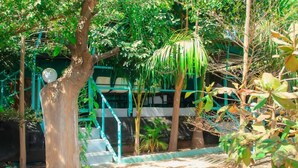 Un jardín con escaleras, rodeado de plantas y árboles.