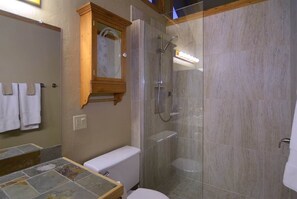 Combined shower/tub, hair dryer, shampoo - Maroon Bells (Crested Butte)