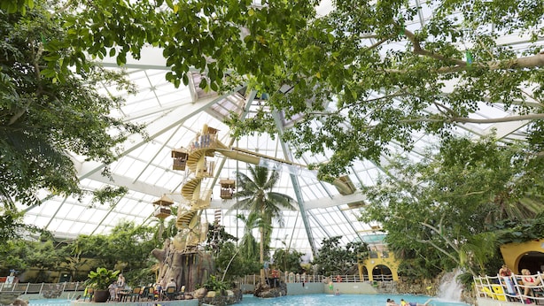 Une piscine intérieure dotée d’un toit en verre, de palmiers et d’une cascade décorative.