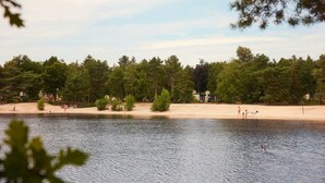 Une vue sur le lac, avec une plage de sable, des arbres et quelques personnes.