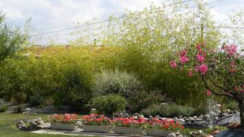 Jardín