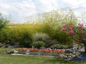Garden - Chambres D'hôtes La Quèrière (Mur-de-Sologne)