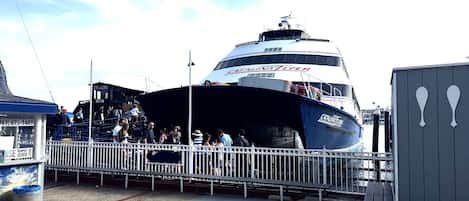 A boat docked at a pier with a crowd of people around it.
