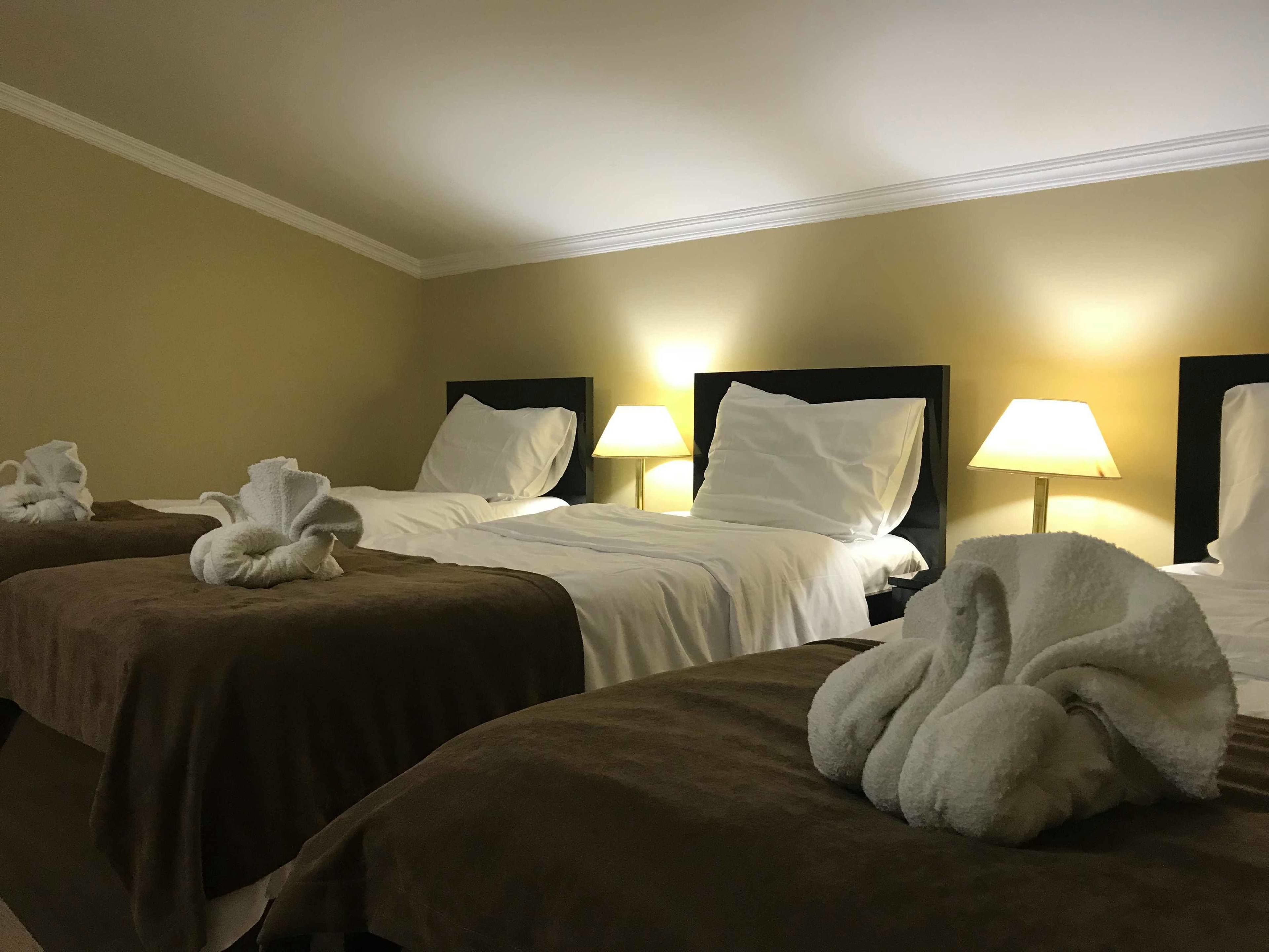 A hotel room with two beds, each with a brown bedspread and white pillows. There are two bedside lamps and a visible wall-mounted clock.