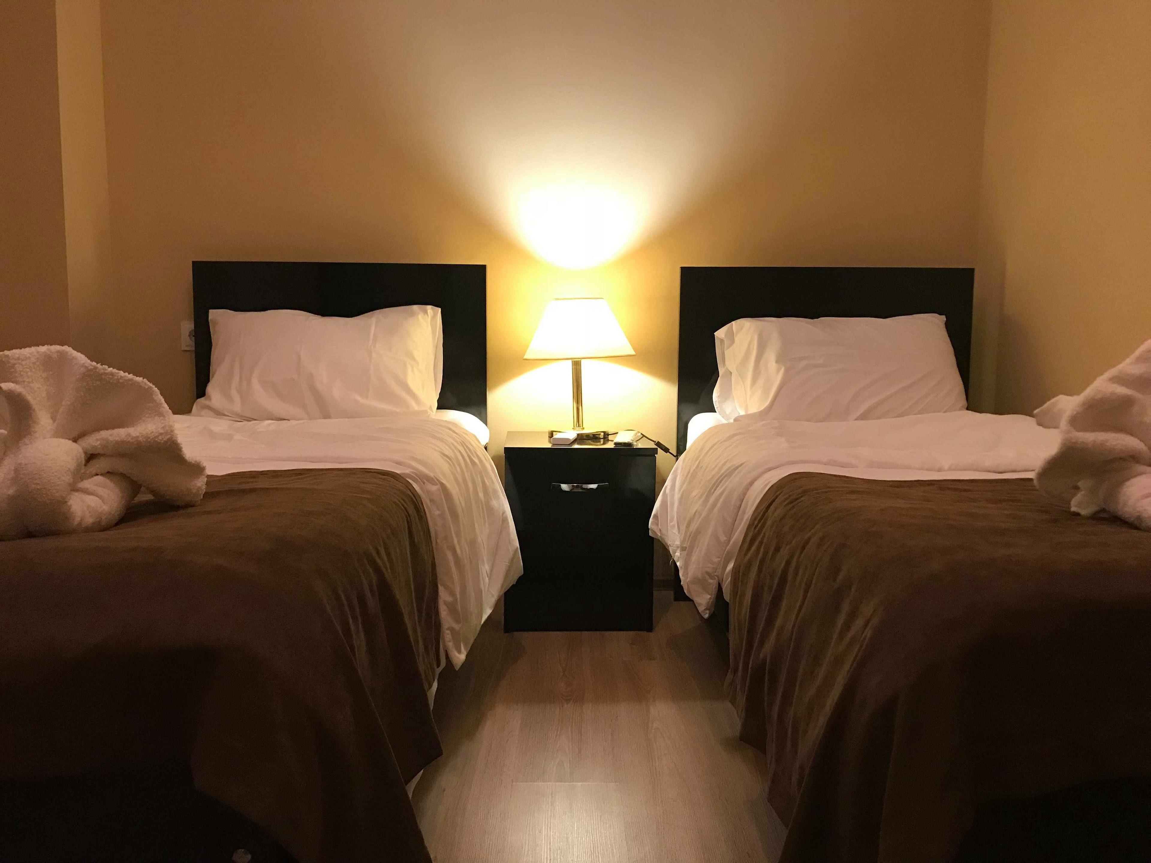 A hotel room with two beds, each with white linens and brown bedspreads. There is a nightstand between the beds with a lamp and a phone.