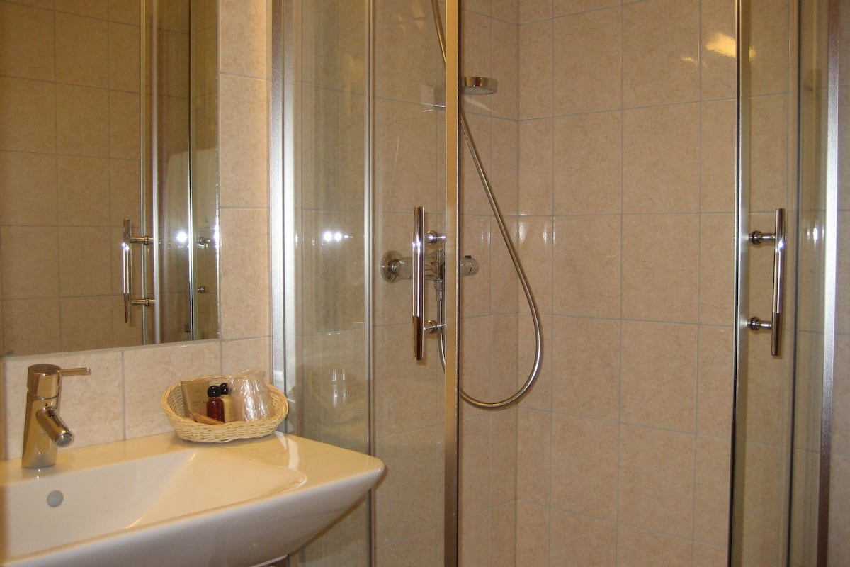 shower, free toiletries, hair dryer, towels