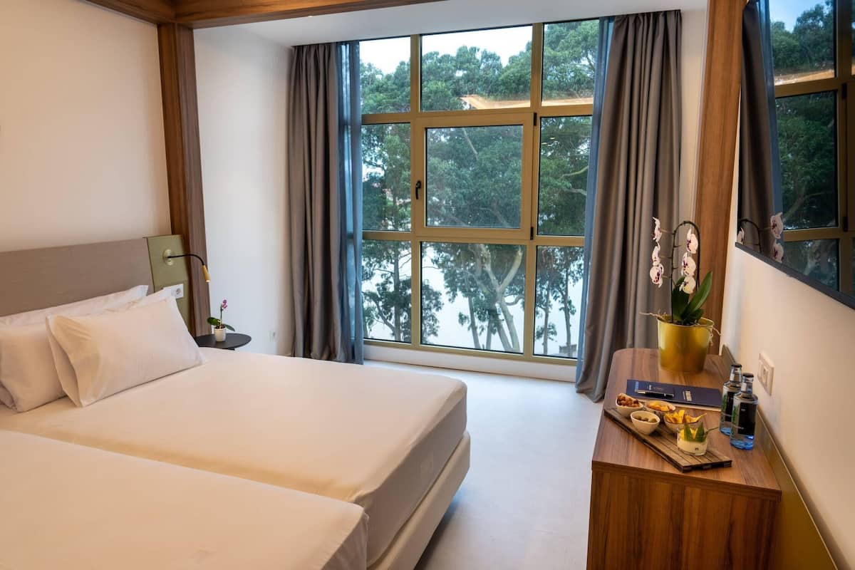 Phòng Tiêu chuẩn, 2 giường đơn, không hút thuốc | Minibar, két bảo mật tại phòng, bàn, màn/rèm cản sáng 