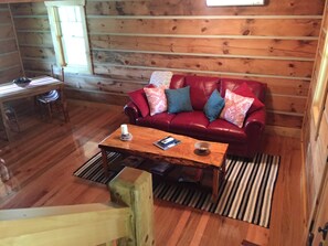 تلفزيون، مشغل دي في دي