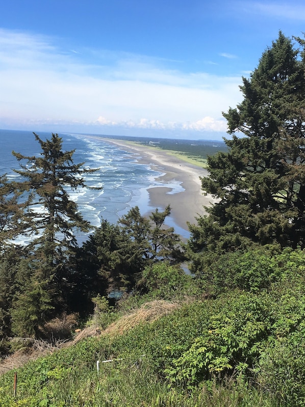 On the beach - Short walk to the beach! 2 bedrooms, quiet neighborhood,  fenced yard & WiFi (Seaview)