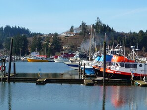 Marina - Short walk to the beach! 2 bedrooms, quiet neighborhood,  fenced yard & WiFi (Seaview)